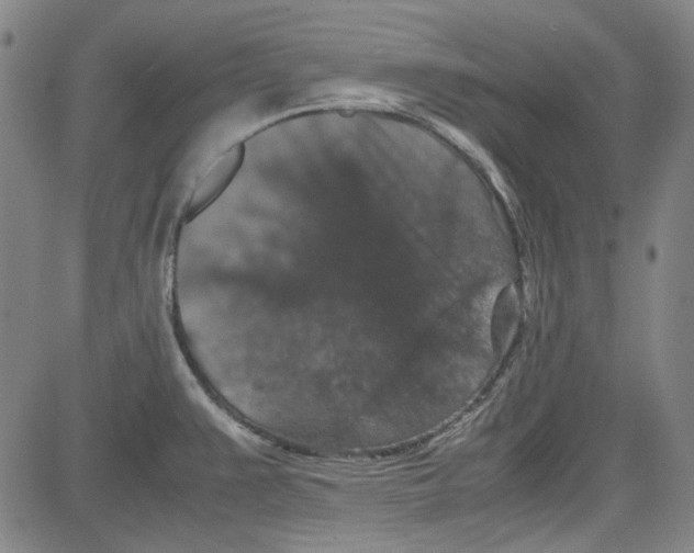 X0000080811383200701051139