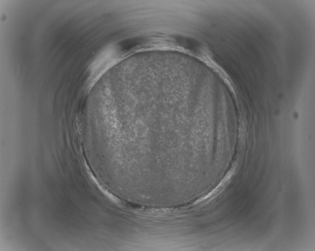 X0000080811385200701051139