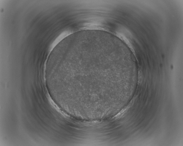 X0000080811386200701051139