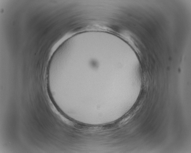 X0000080811387200701051139