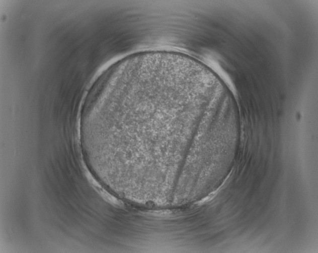 X0000080811388200701051139