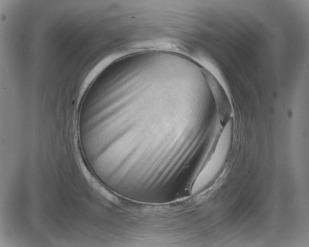 X0000080811389200701051139