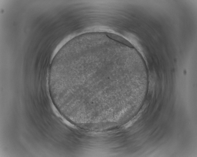 X0000080811390200701051139