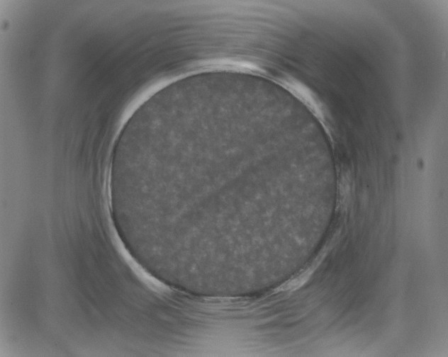 X0000080811391200701051139