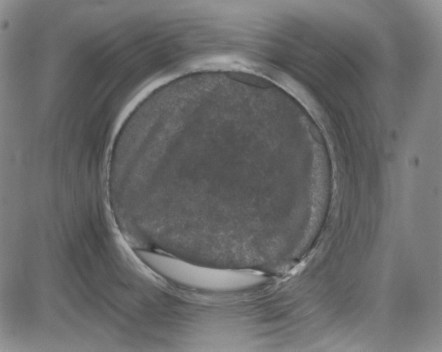 X0000080811392200701051139