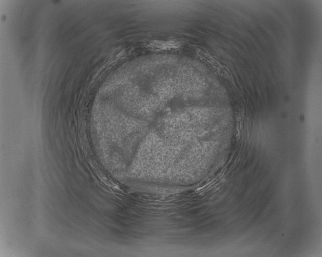 X0000080811393200701051138