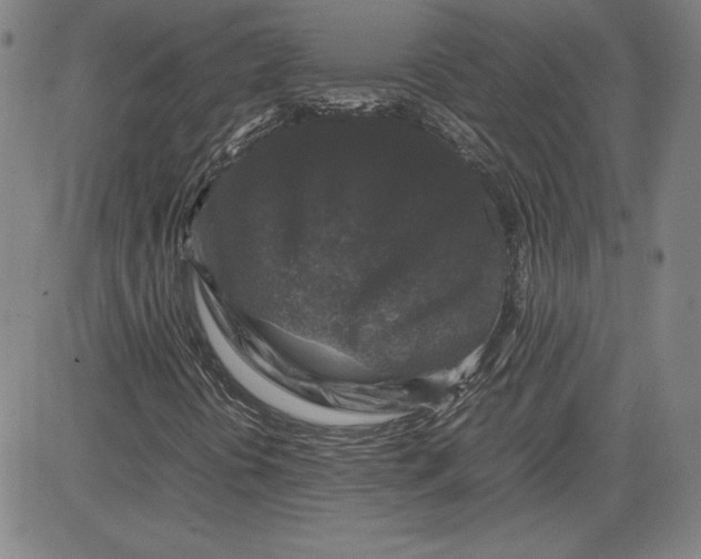 X0000080811394200701051138