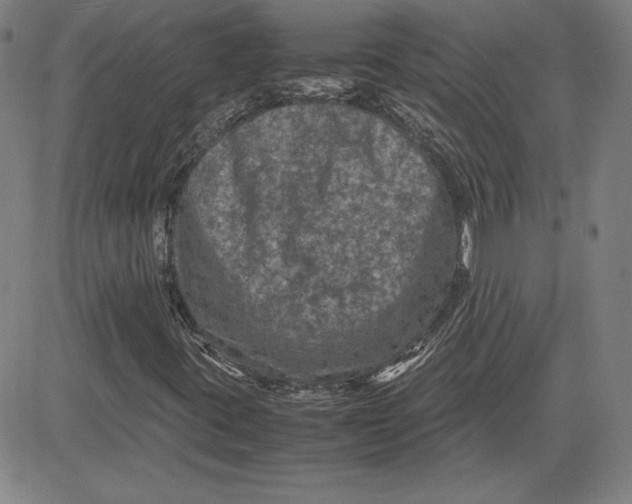 X0000080811395200701051138