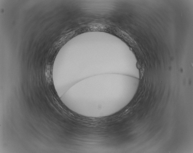 X0000080811396200701051138