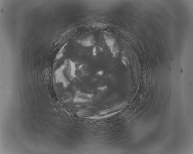 X0000080811397200701051138