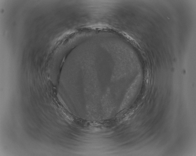 X0000080811398200701051138