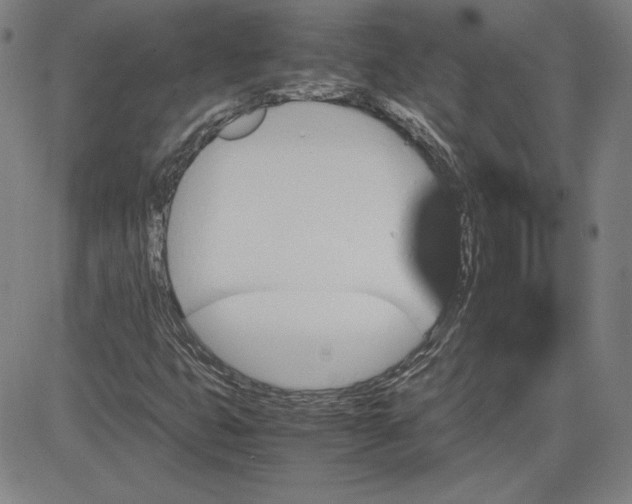 X0000080811399200701051138