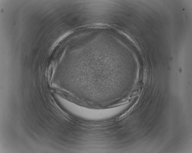 X0000080811402200701051138