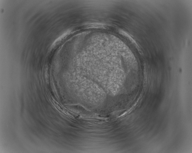 X0000080811403200701051138