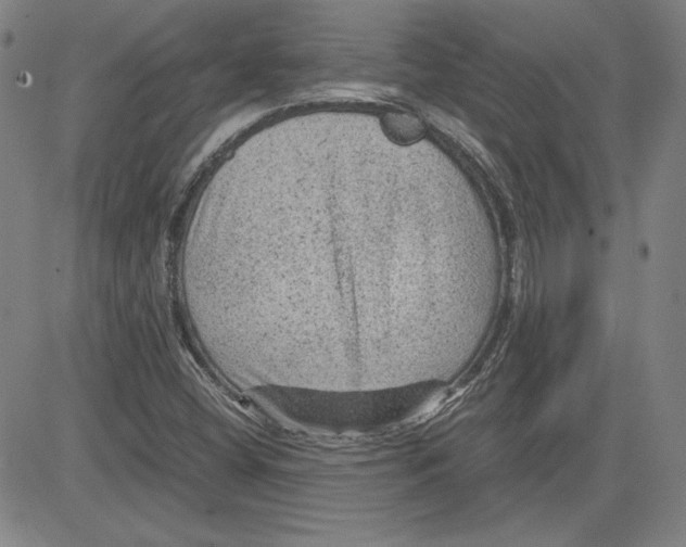 X0000080811404200701051139