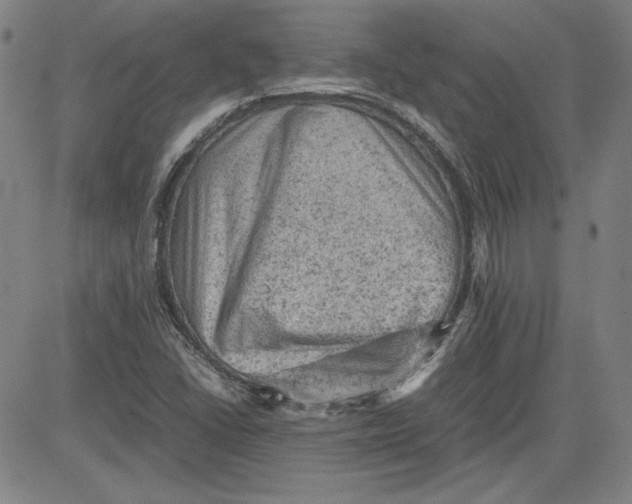 X0000080811406200701051139