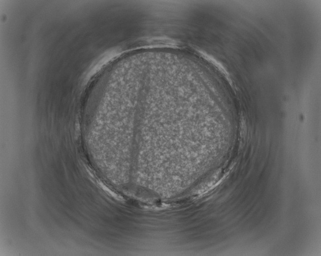 X0000080811407200701051139