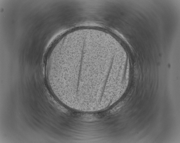 X0000080811408200701051139