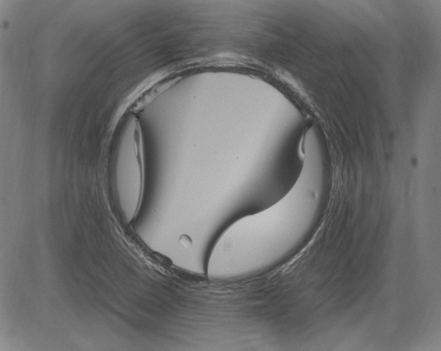 X0000080811410200701051139