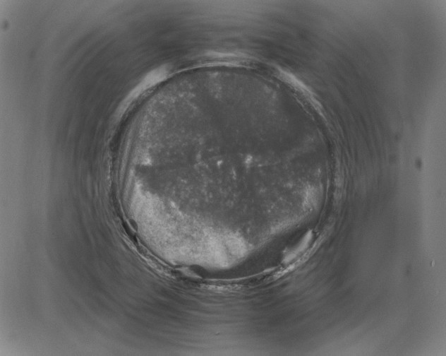 X0000080811411200701051139