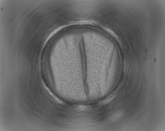 X0000080811412200701051139