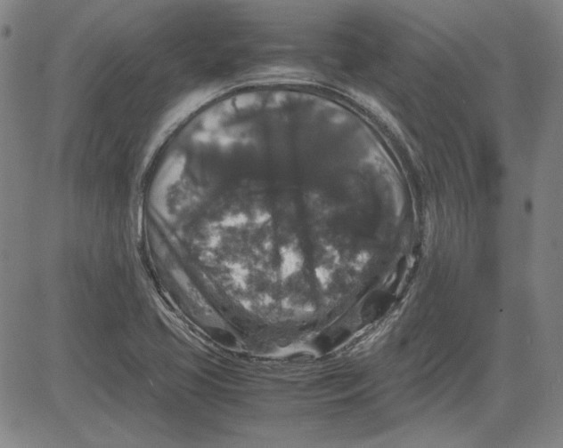 X0000080811413200701051139