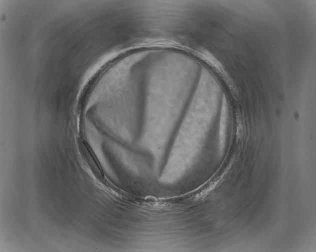 X0000080811414200701051139