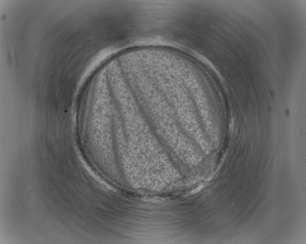 X0000080811416200701051139