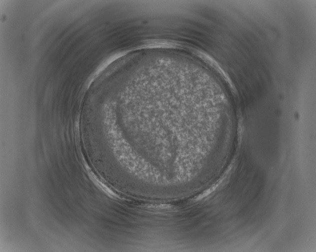 X0000080811417200701051139