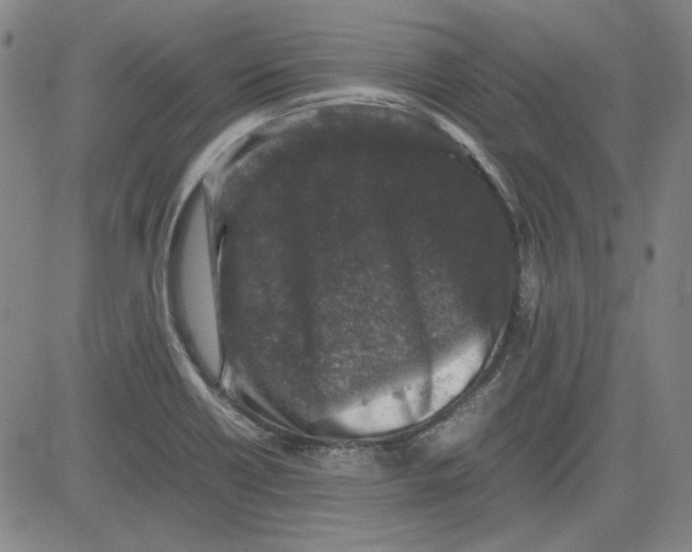 X0000080811418200701051139