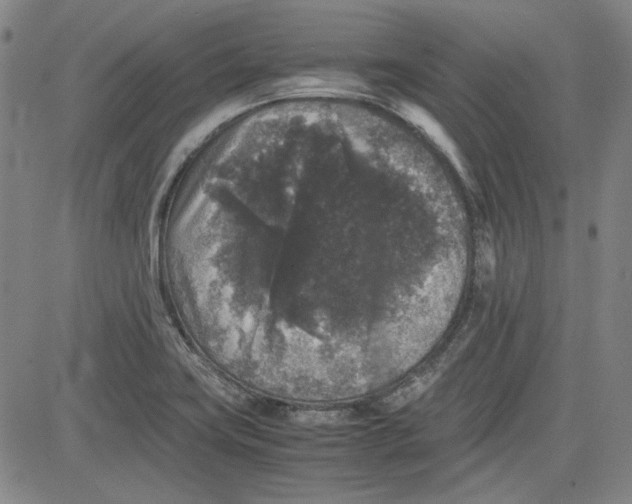 X0000080811419200701051139