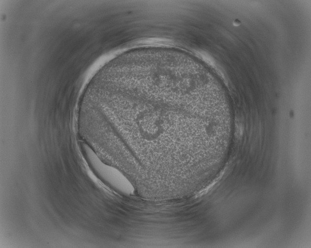 X0000080811421200701051139