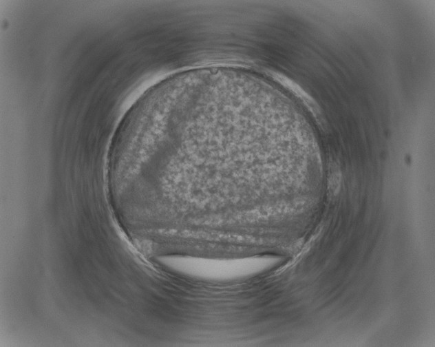 X0000080811423200701051139