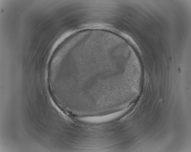 X0000080811424200701051139