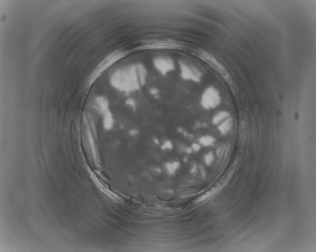 X0000080811425200701051139