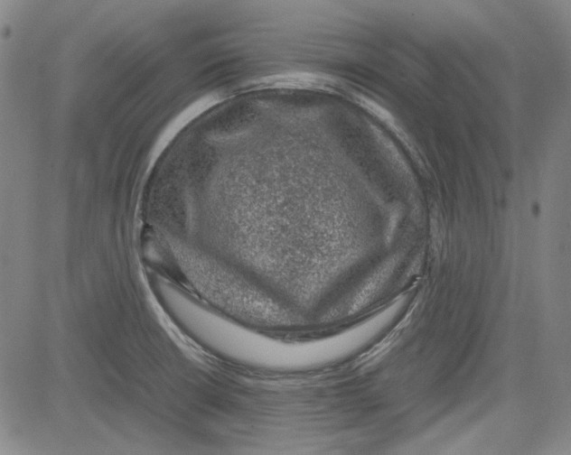 X0000080811426200701051139