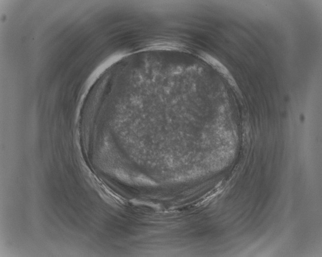 X0000080811427200701051139