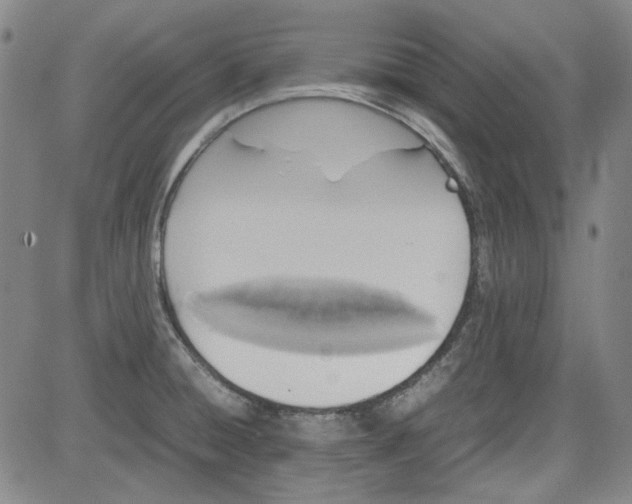 X0000080811428200701051139