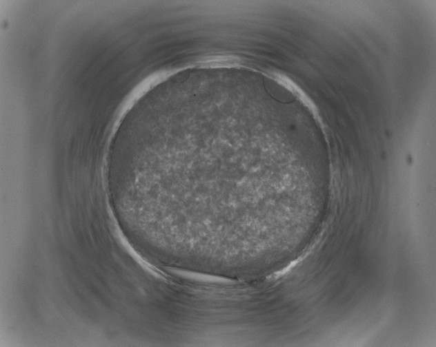 X0000080811429200701051139