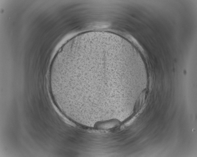 X0000080811432200701051139