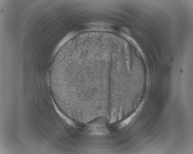 X0000080811433200701051139