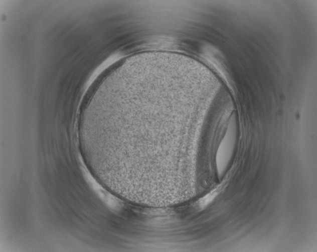 X0000080811434200701051139