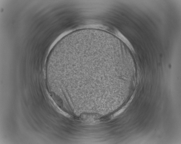 X0000080811436200701051139