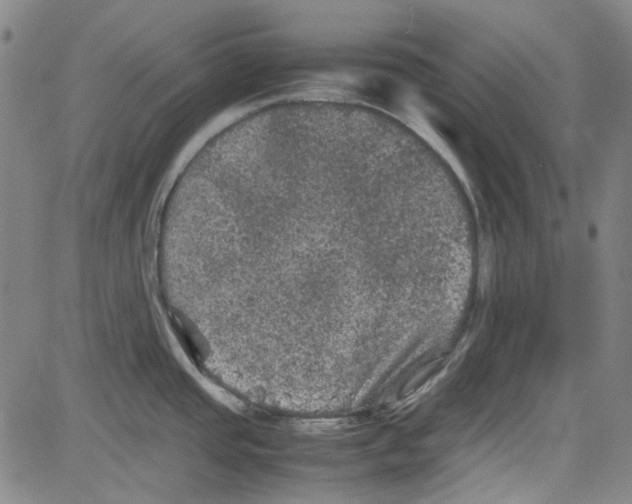 X0000080811437200701051139