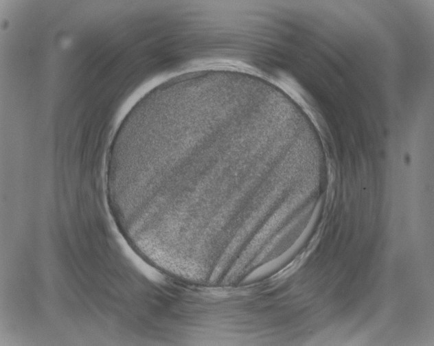 X0000080811438200701051139