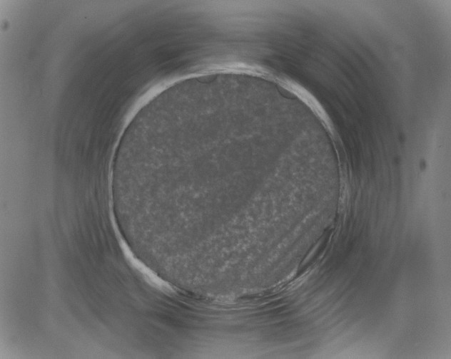 X0000080811439200701051139