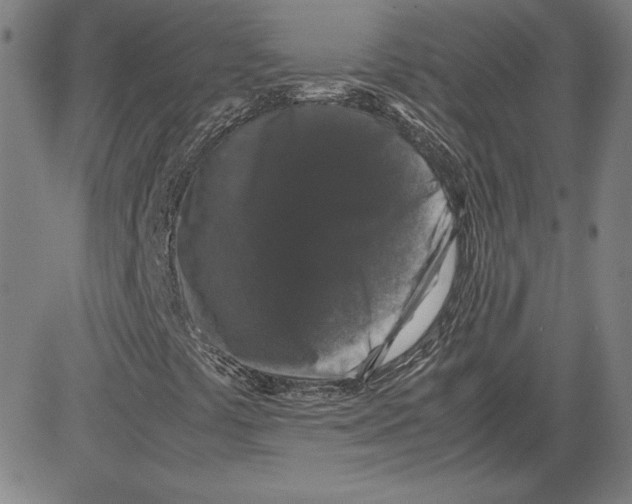 X0000080811441200701051138