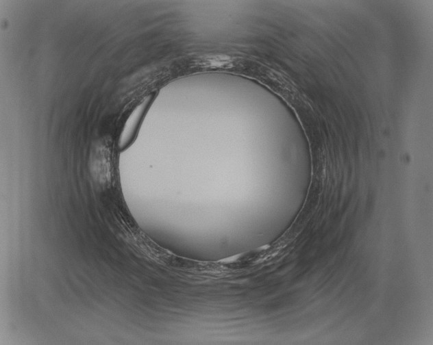 X0000080811442200701051138