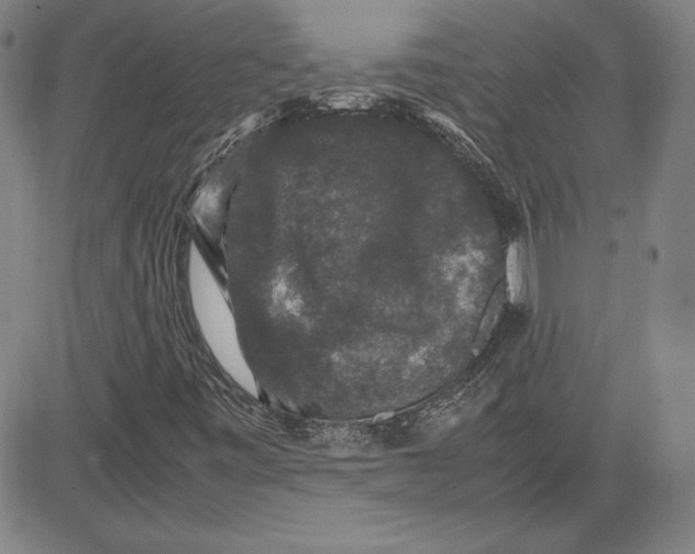 X0000080811443200701051138