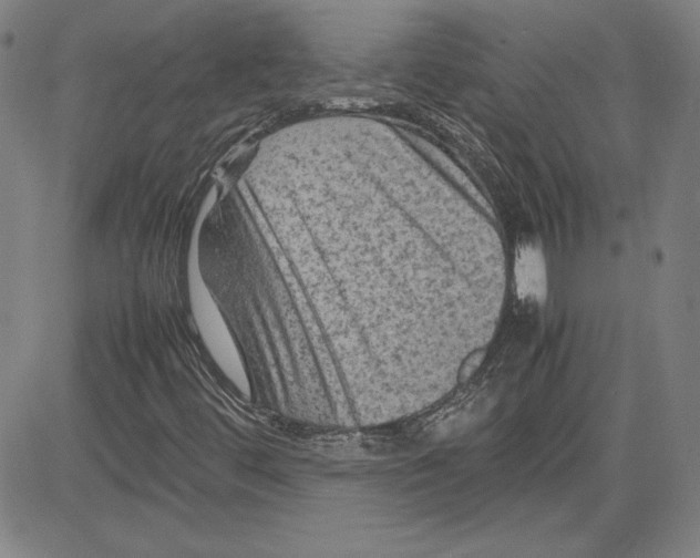 X0000080811444200701051138